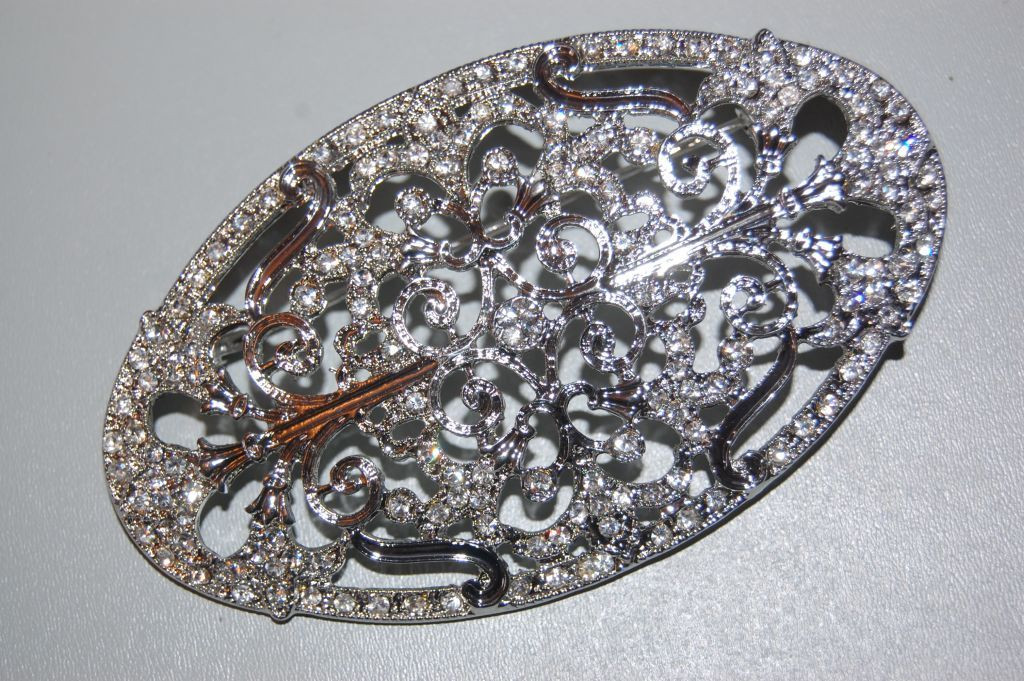 Dalila brooch sparkles