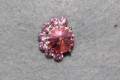 Earrings pink Aroa