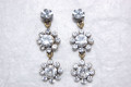 Earrings two flowers of diamonds