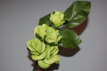 Flower corsage pistachio