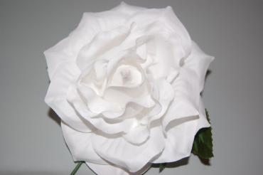 Flor blanca