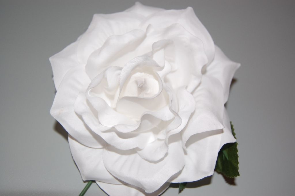 Flor blanca 